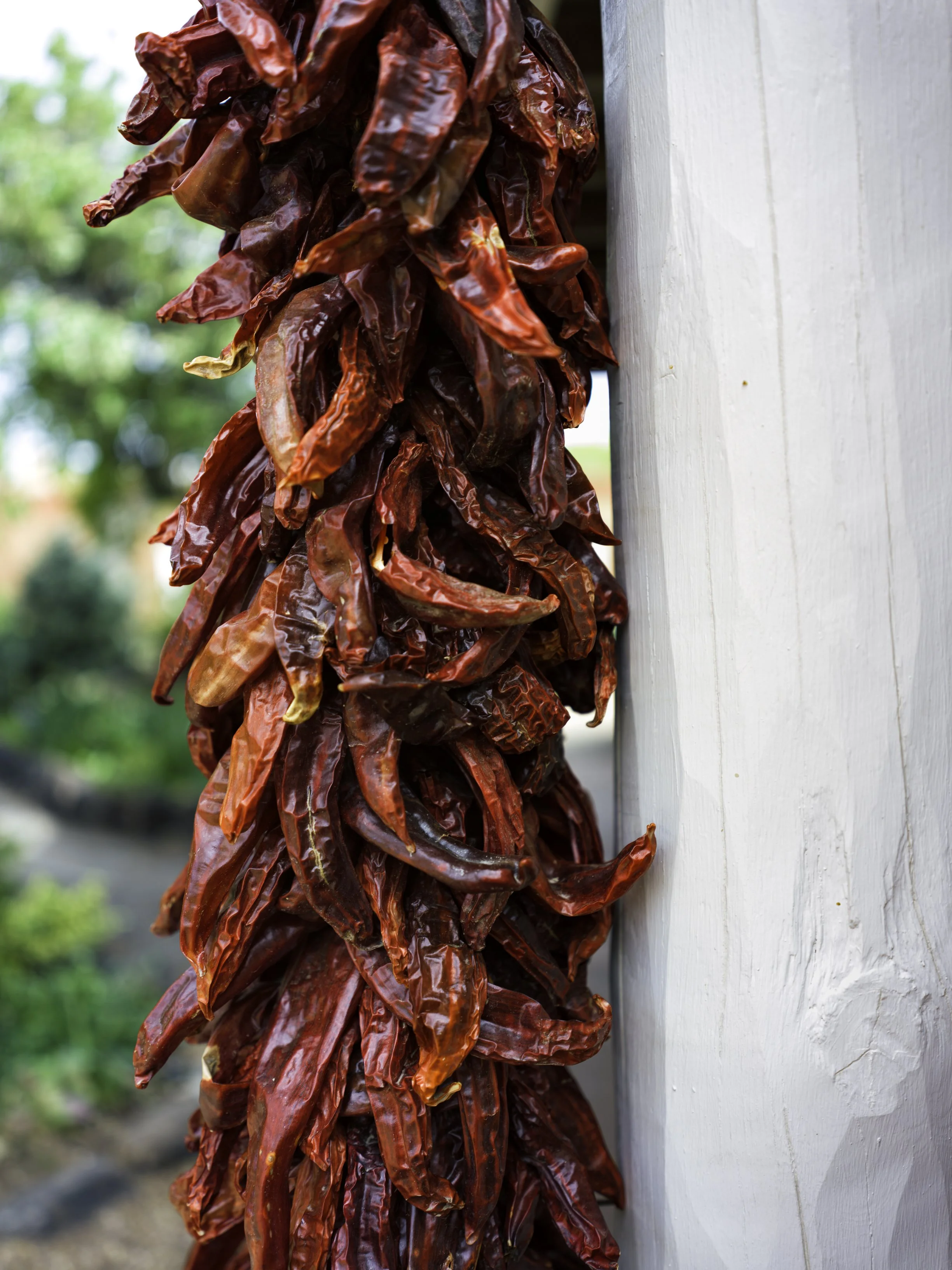B0003852-Edit.jpg