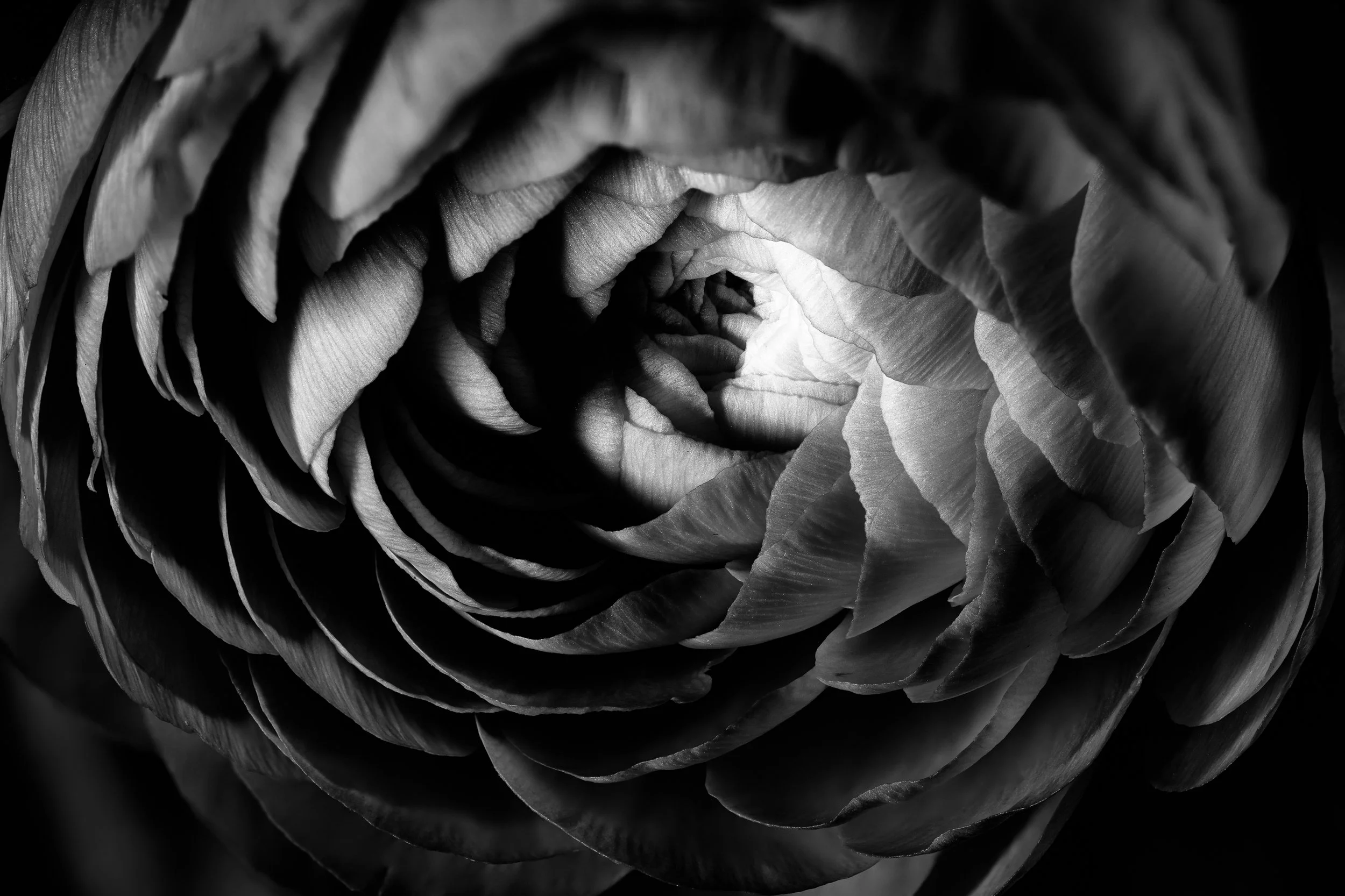 2026-03-16 04-39-50 (B,R3,S1)-Edit-Edit-Edit.jpg