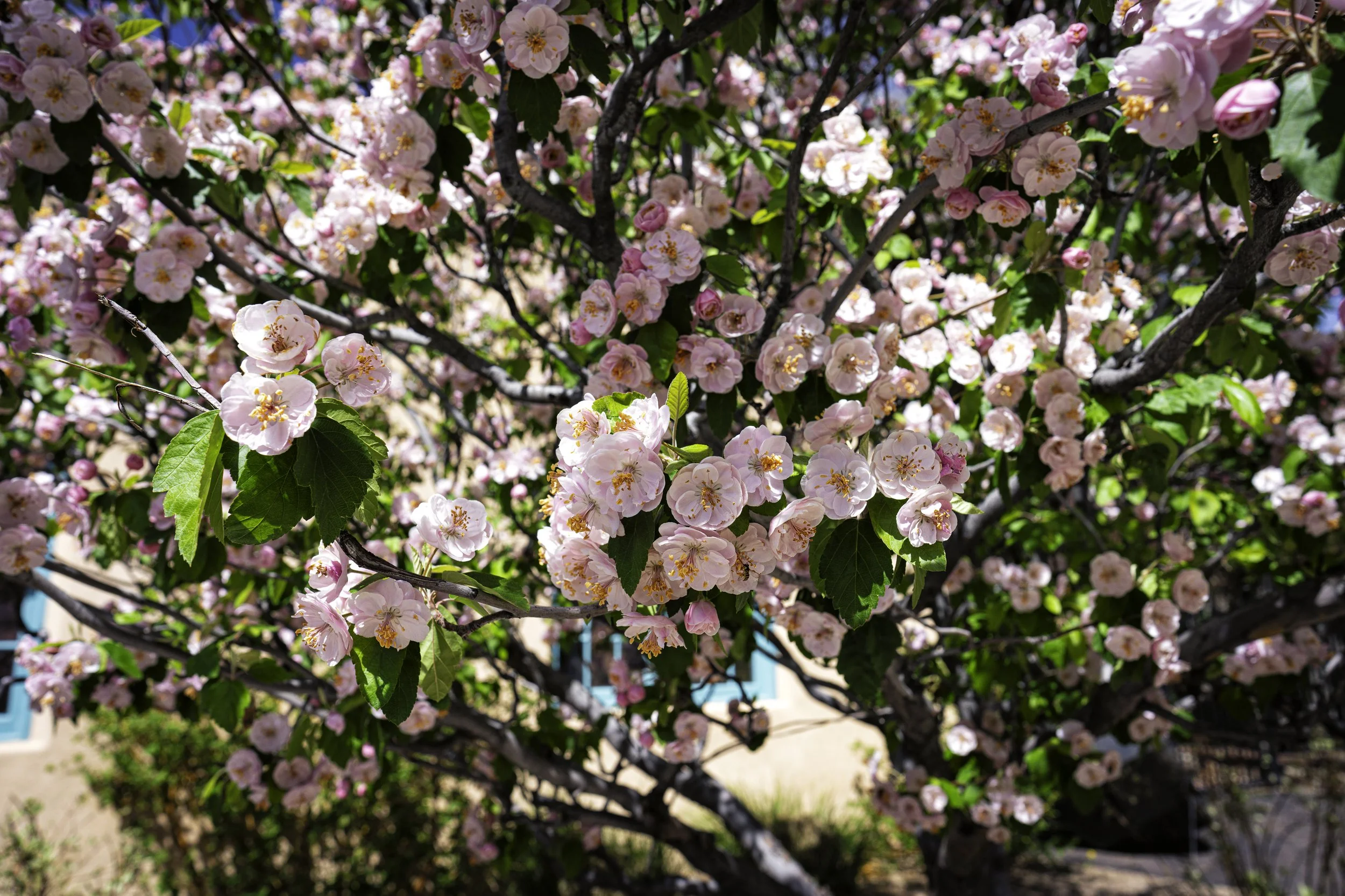 DSC05807-Edit.jpg