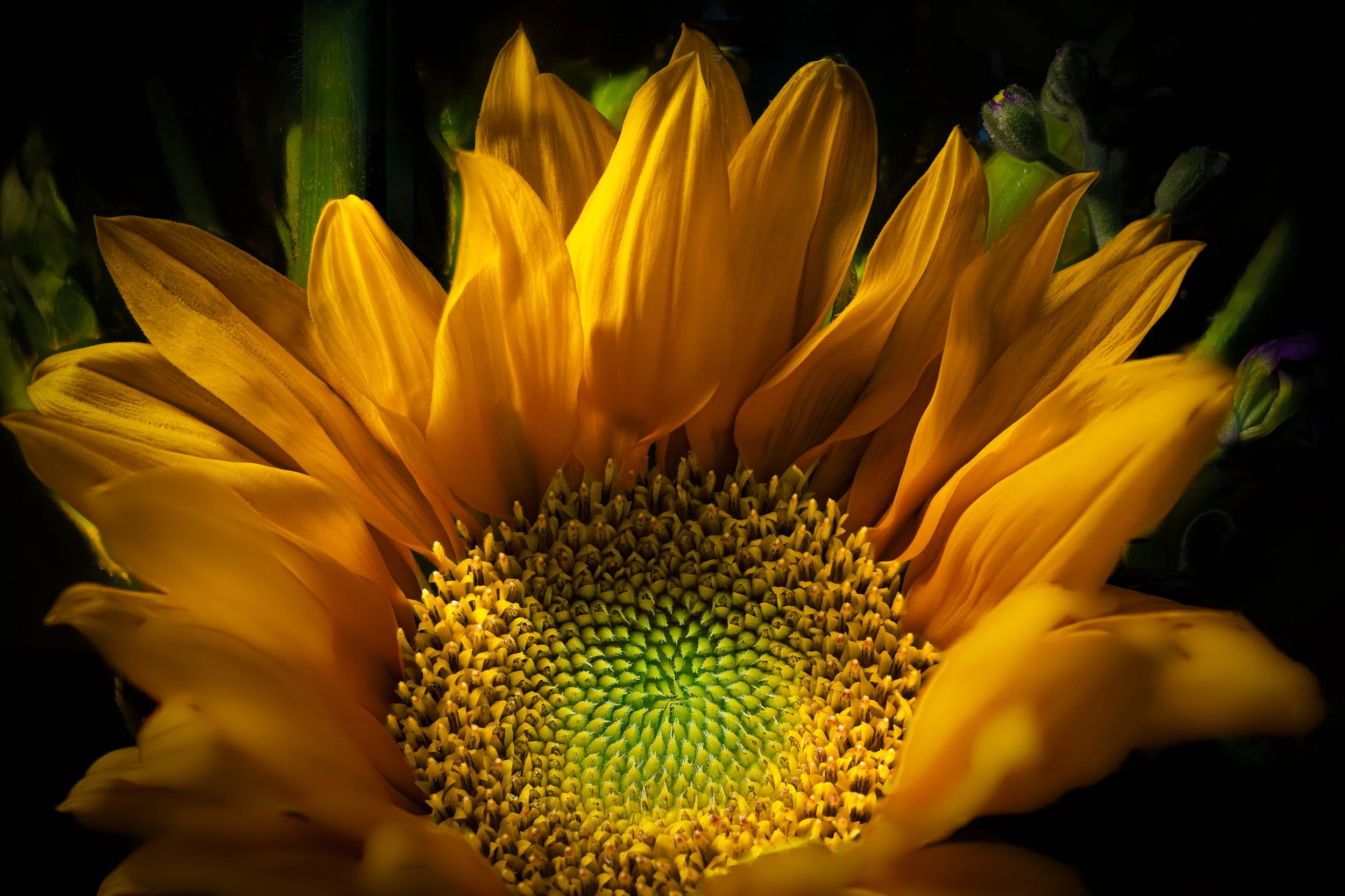 2026-03-14 12-52-39 (A,R3,S1)-Edit-Edit-Edit-2-Edit-2.jpg