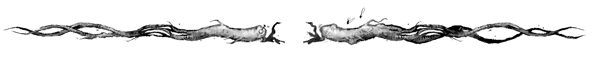 Black and white illustration of a twisted rope or vine, with a textured and somewhat abstract appearance.
