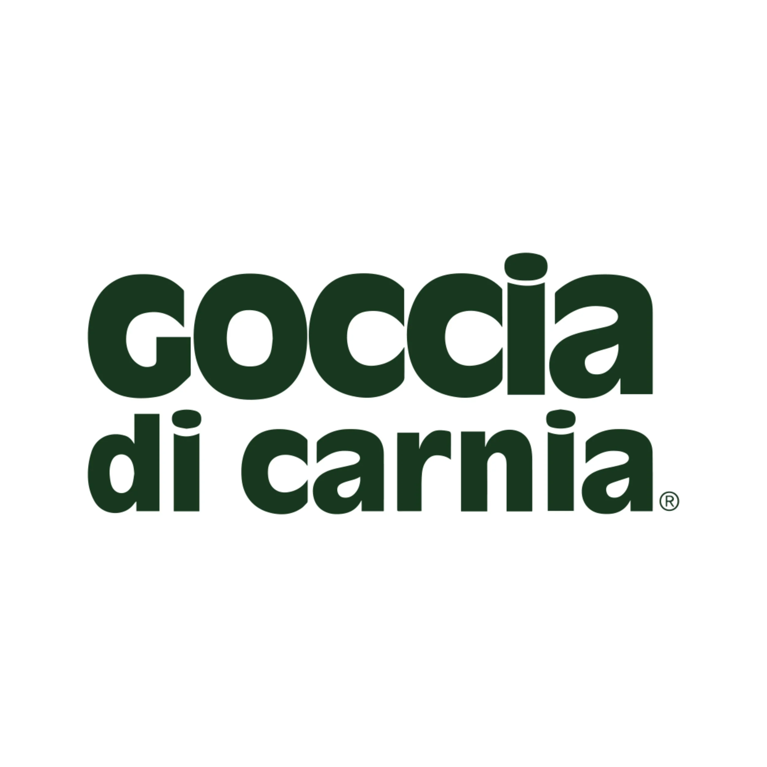 Logo con testo verde scuro che dice 'goccia di carnia' su sfondo bianco.
