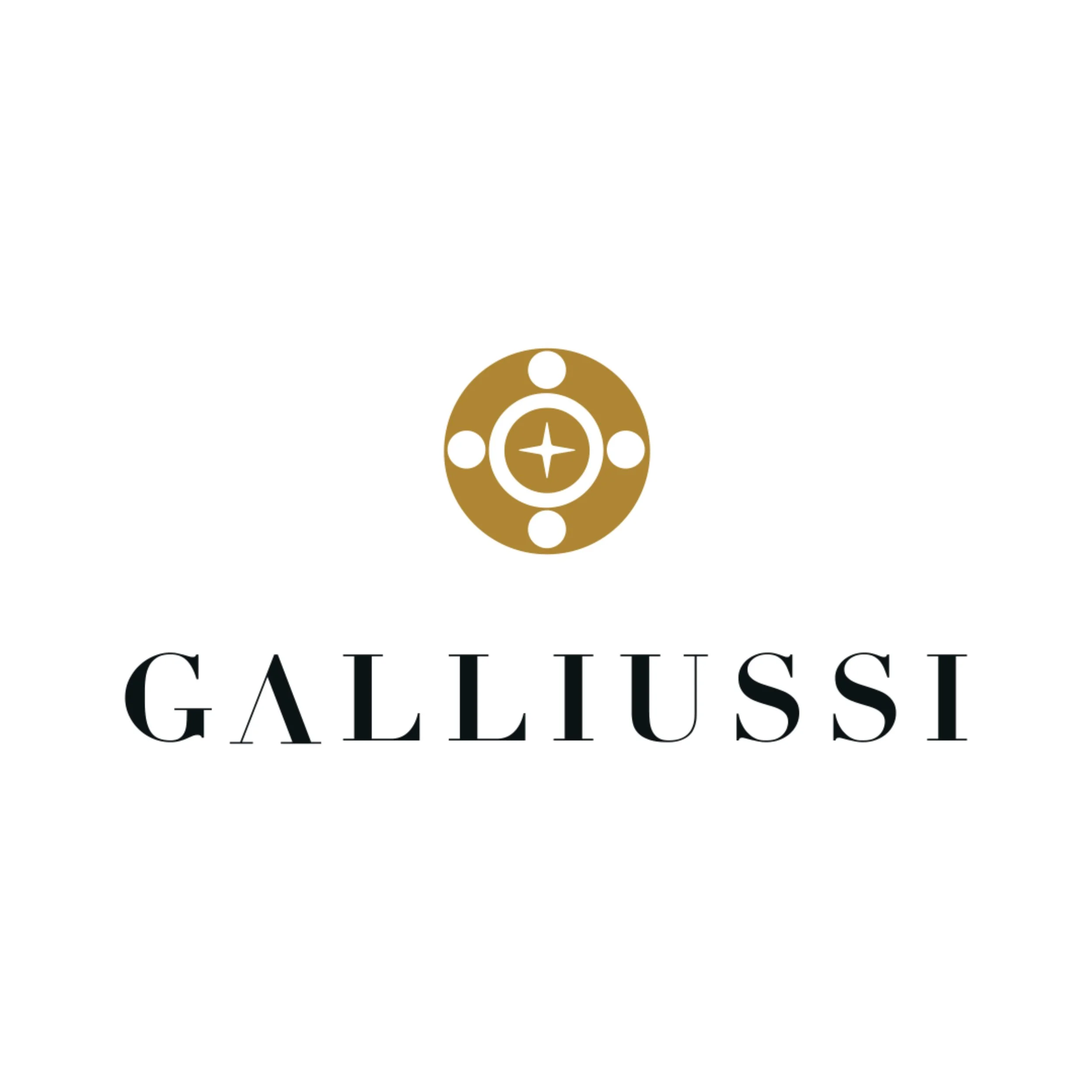 Logo di Gallussi con un simbolo dorato di un'ancora e la scritta 'GALLUSSI' in caratteri neri.