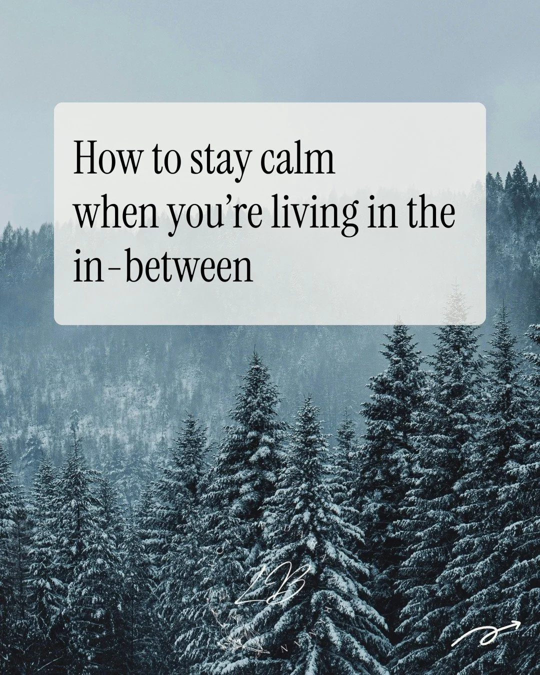 The in-between can feel unsettling.
Sometimes calm begins with warmth, not solutions.

If you need support, my DMs are open.

#TheInBetween
#NervousSystemSupport
#GentleHealing
#MidlifeWomen
#EmotionalSafety
#CalmYourBody
#LifeTransitions
#SlowDownTo