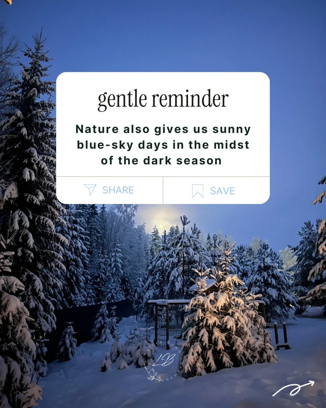 Sometimes a little light is enough.
It gives us courage to keep moving forward.

#WinterLight #NatureHeals #GentleMoments
#InBetweenSpace #NervousSystemSupport
#MidlifeWomen #SlowSeason #KeepGoing