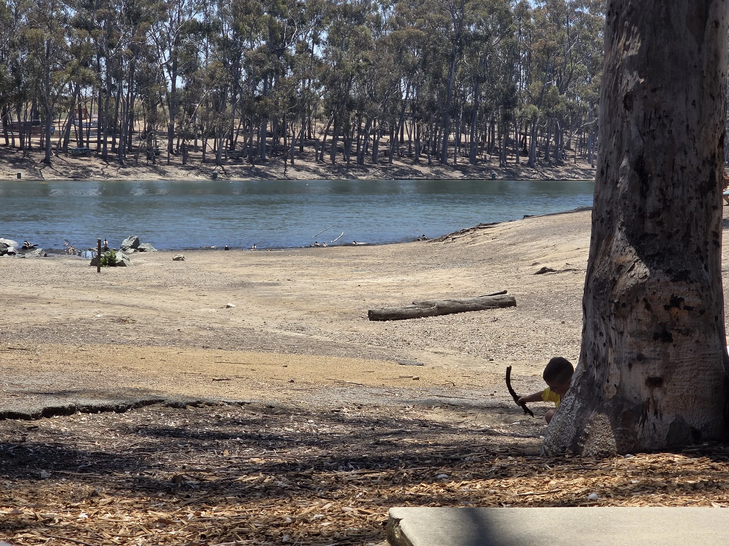 A lakeside view with a large tree in the foreground on the right and a young child sitting under the tree, playing with a stick. The lake's edge has rocks and dry leaves, with a wooded area across the water under a clear blue sky.
