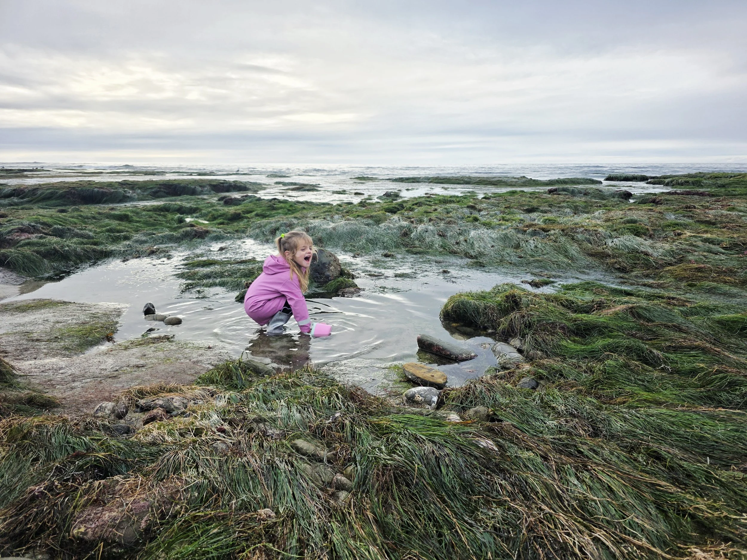 A young girl with blonde hair in pigtails, wearing a pink jacket and gray boots, sitting on a rocky shoreline with tidal pools and green seaweed, looking excited with her mouth open at the ocean under a cloudy sky.