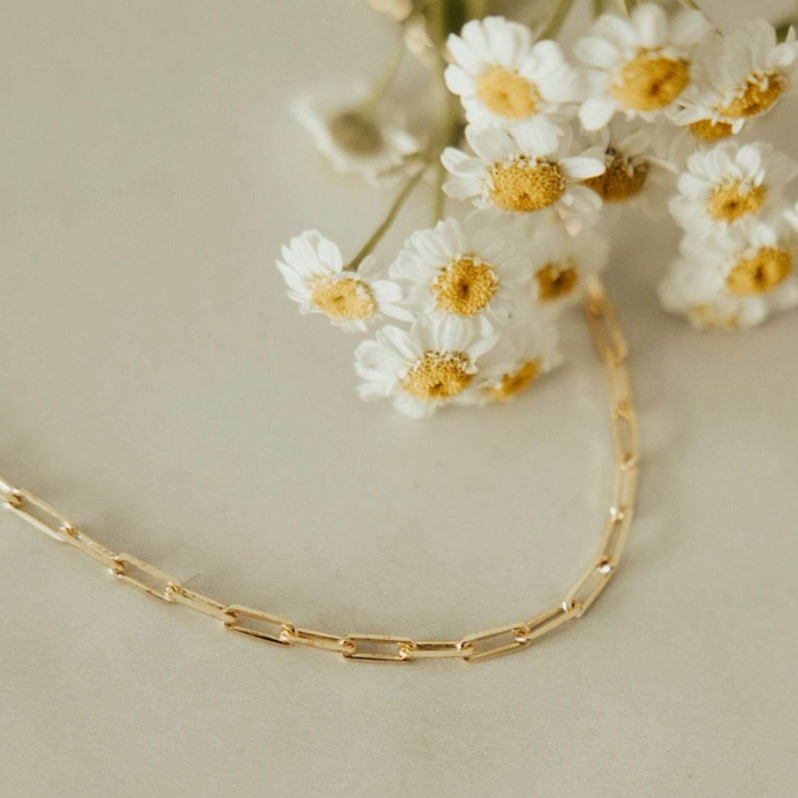 Paperclip Necklace