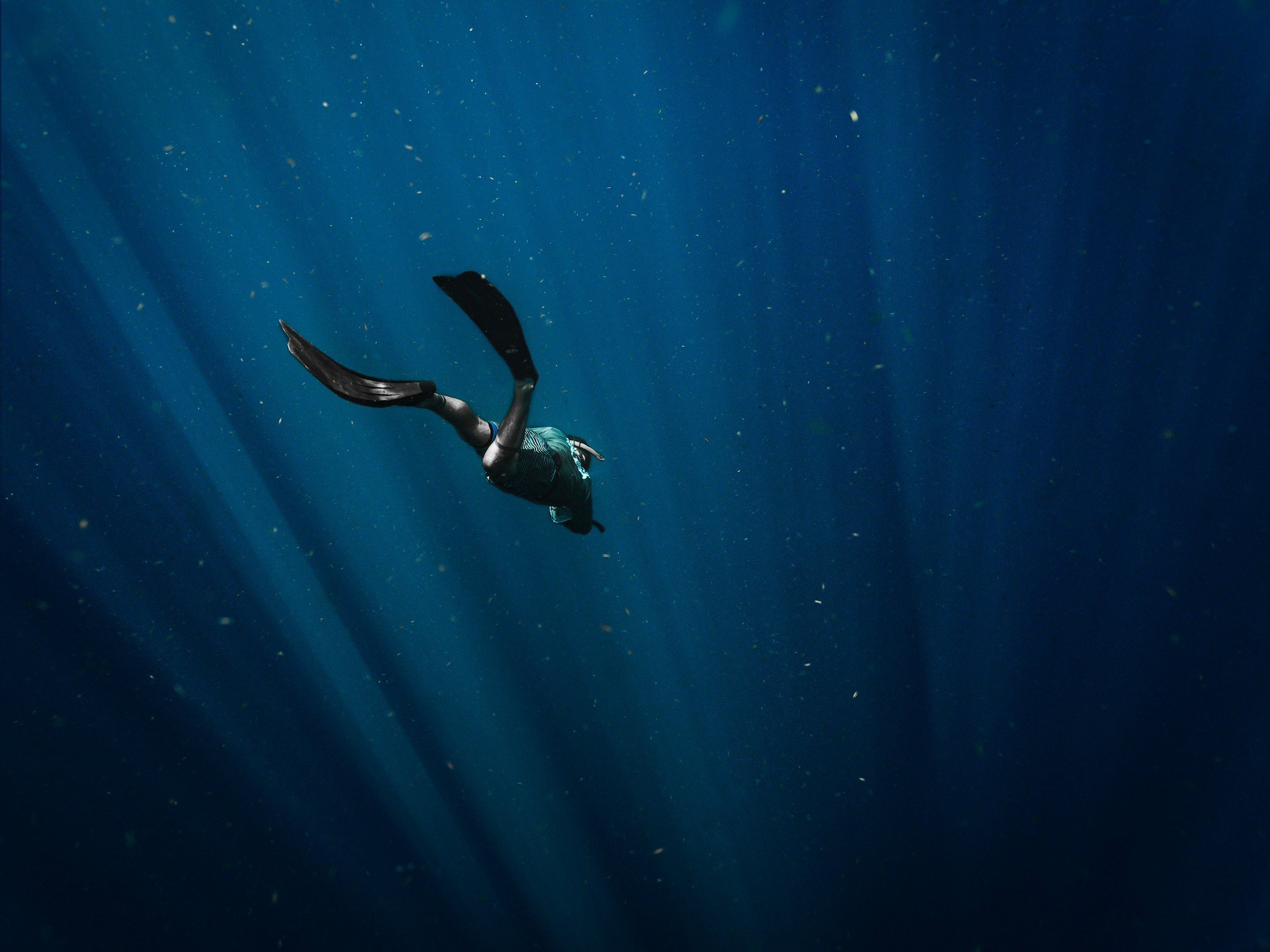 Exploring The Wreck: Intentional Vulnerability and Adrienne Rich