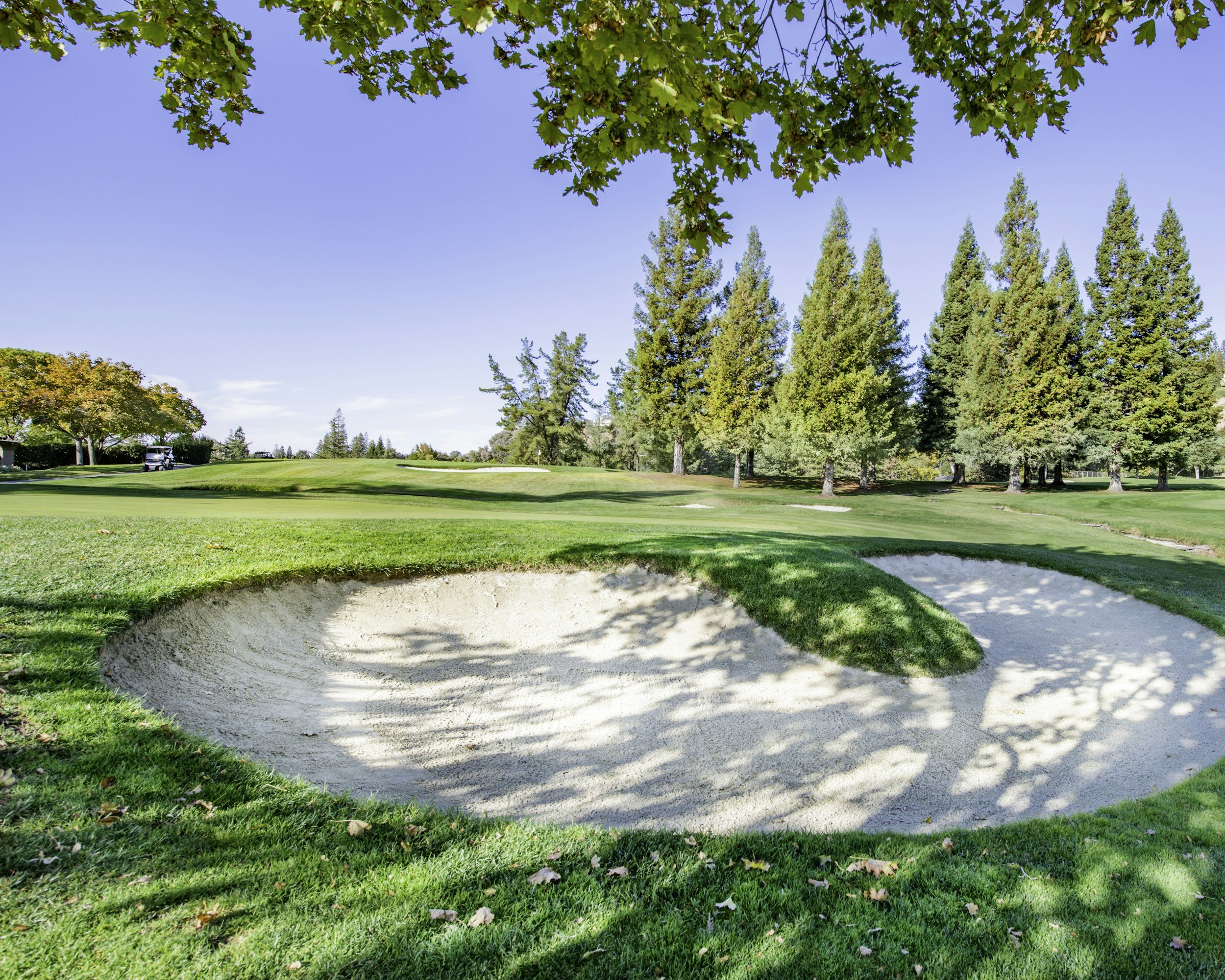 Fall Golf Tournament at DU Highlands Ranch Golf Course