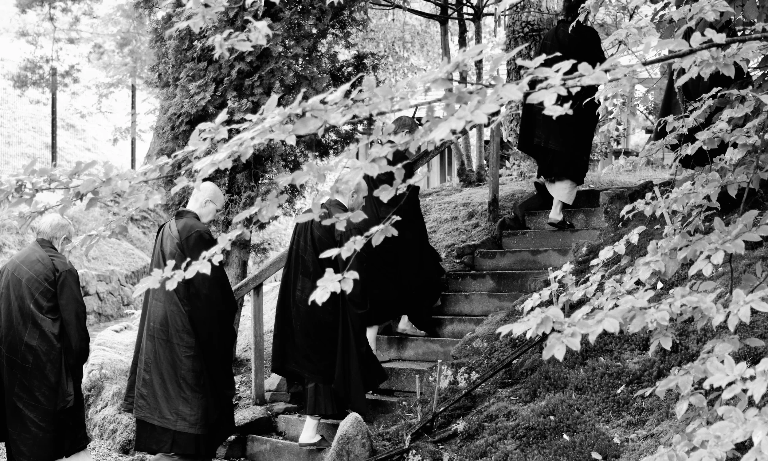 Capture dÔÇÖe╠ücran 2025-07-27 a╠Ç 19.36.44.jpeg