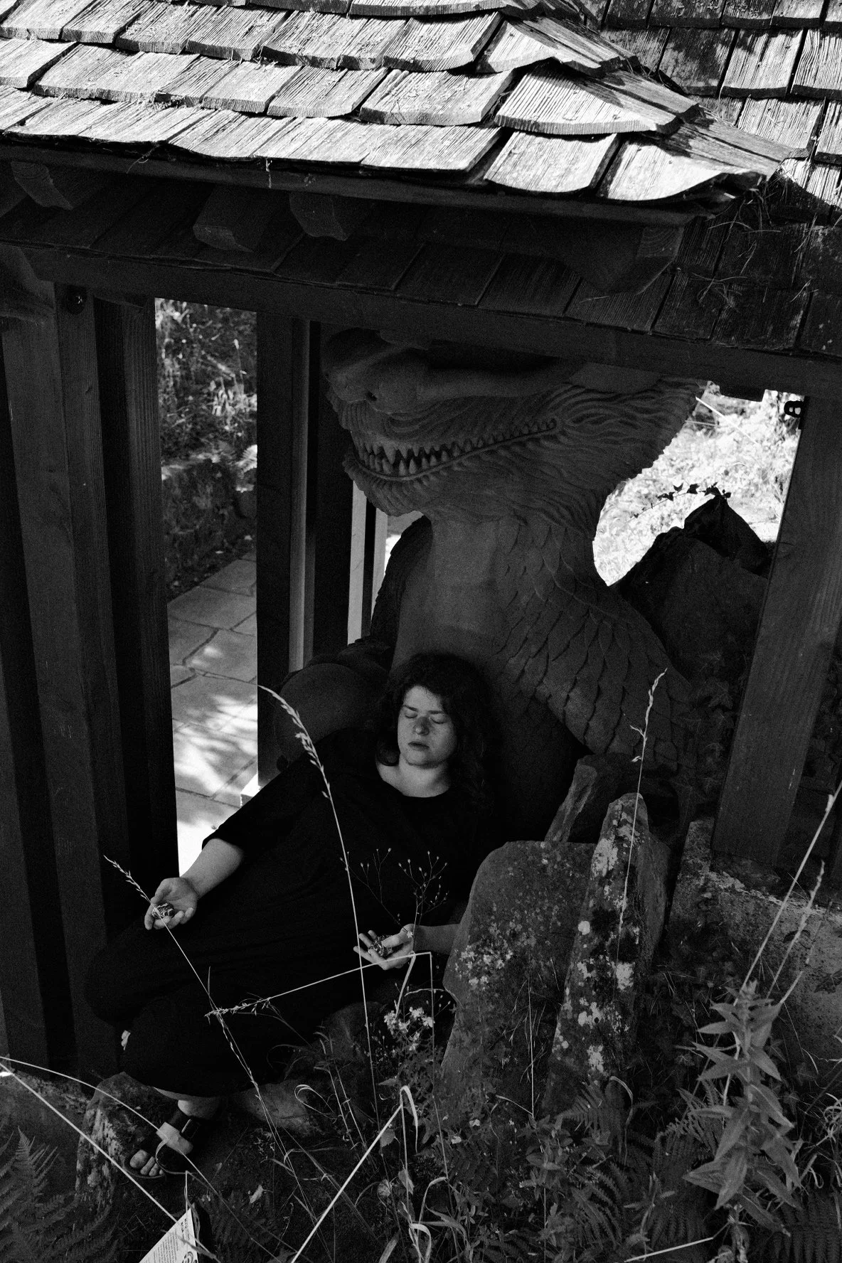 image00005.jpeg