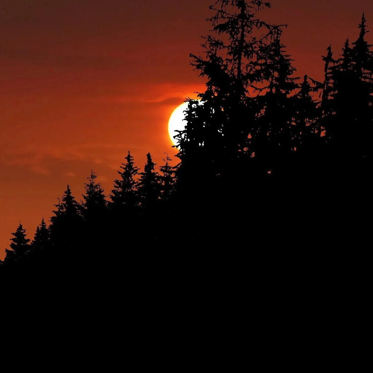 rauschenberger-sunset-4489506.jpg