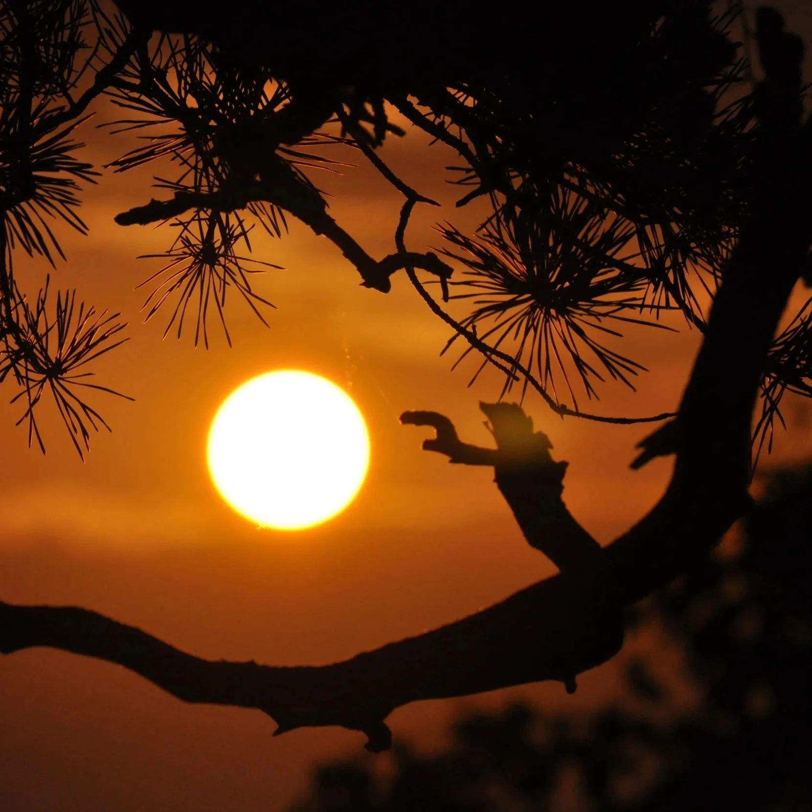 89275-sunset-396633.jpg