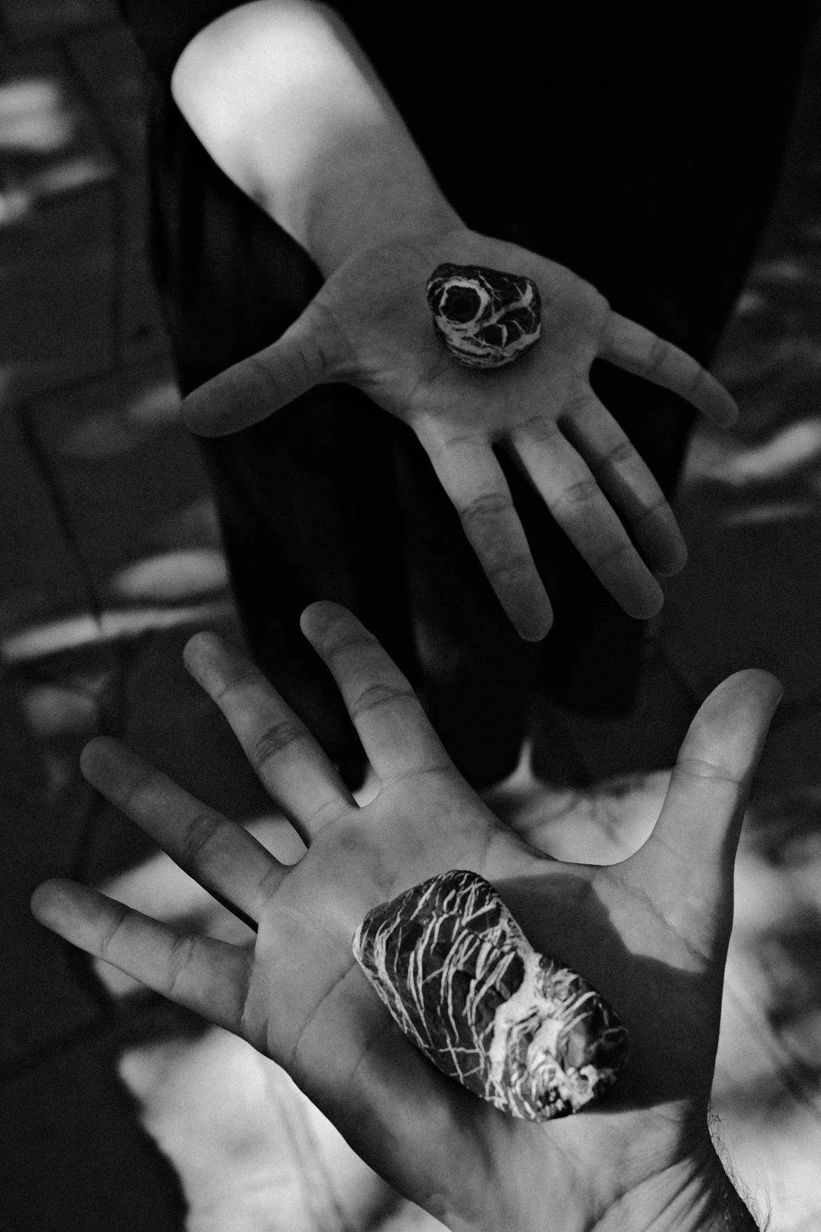 image00001.jpeg