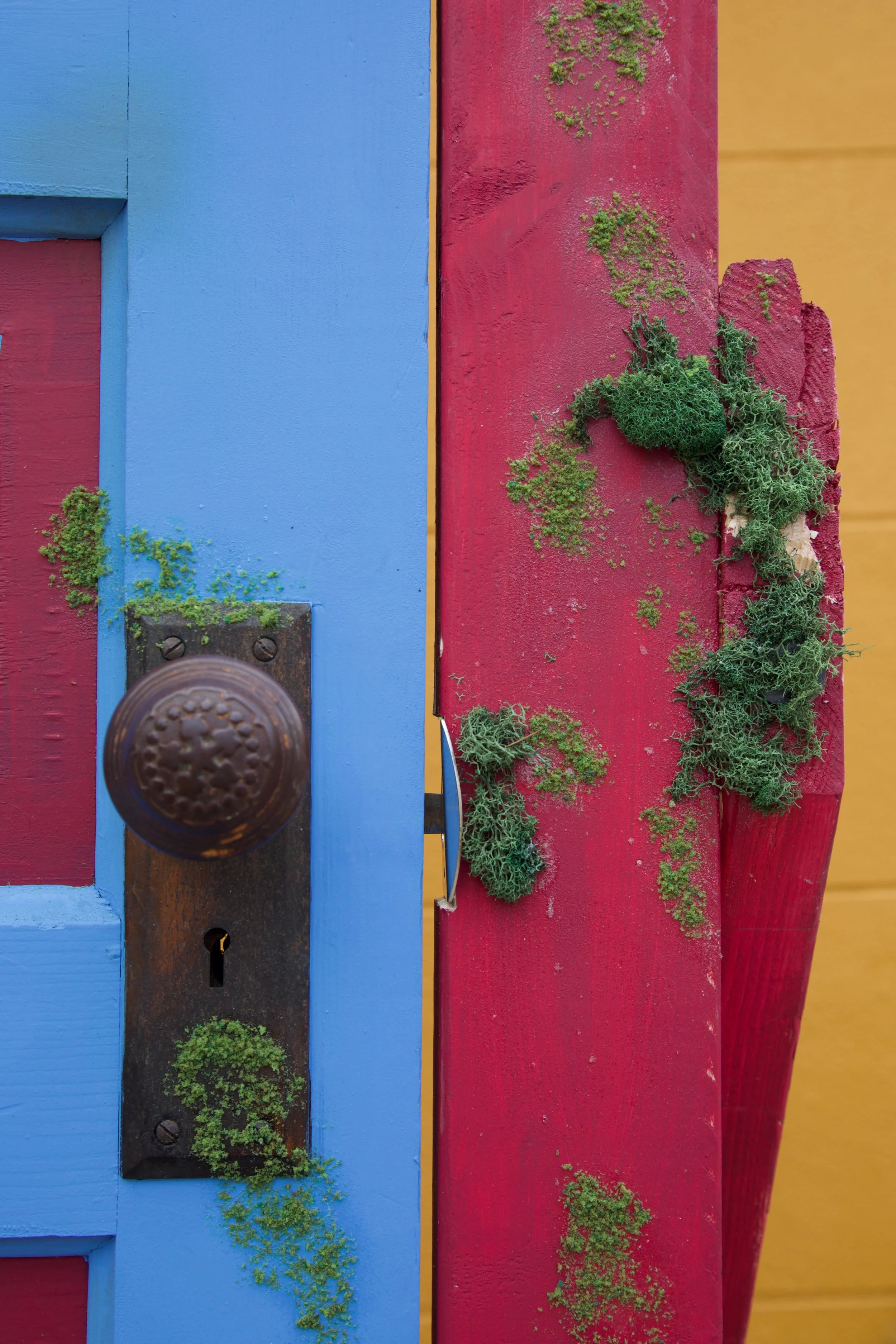 CicloCapitalDoor_KnobDetail.JPEG