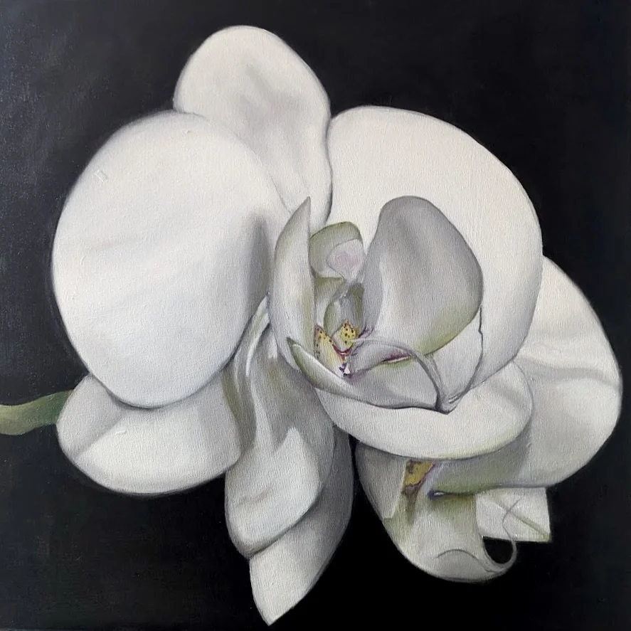 0064_KRough_the orchid_2026.jpg