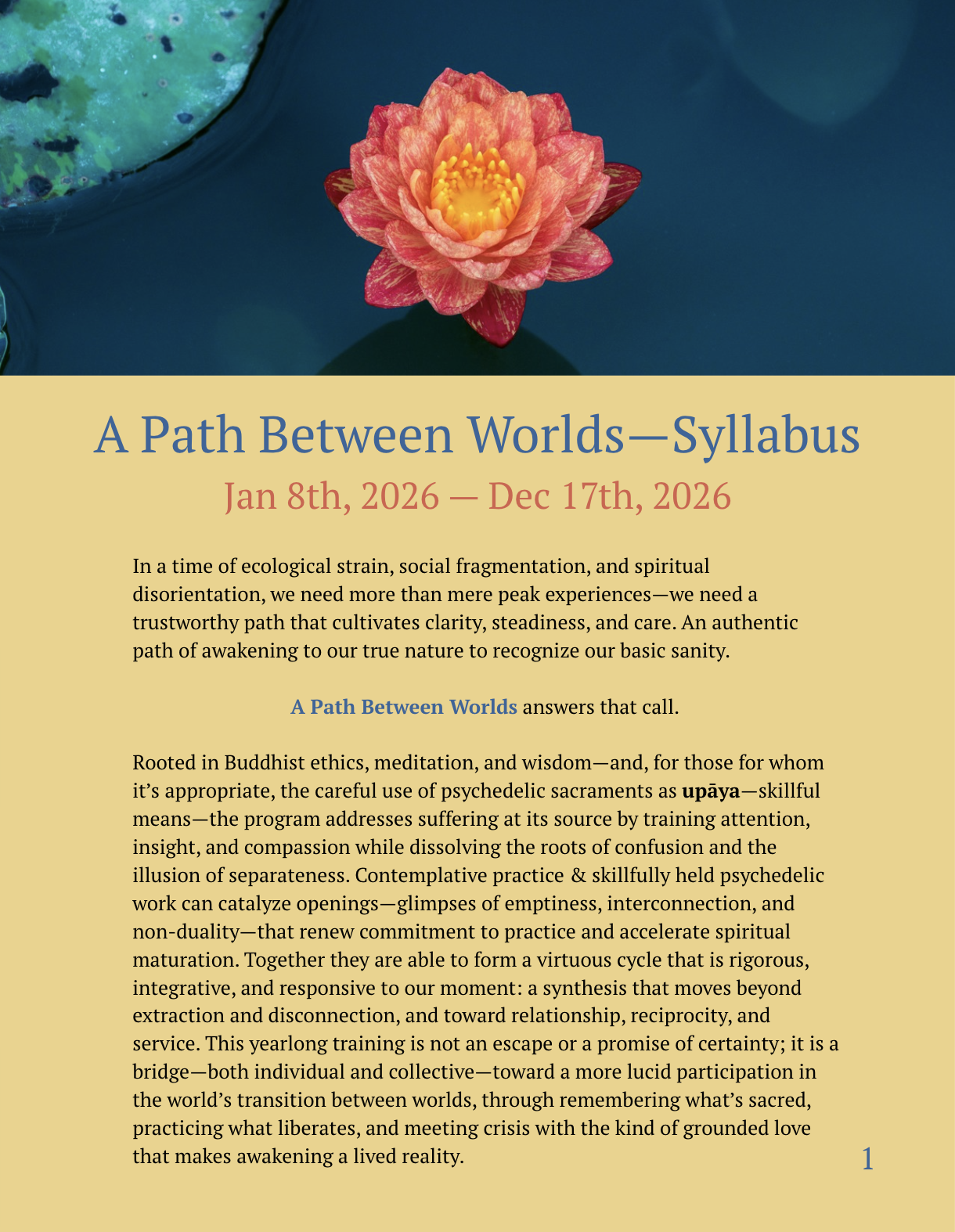Psychedelic Buddhism - Full Program Syllabus