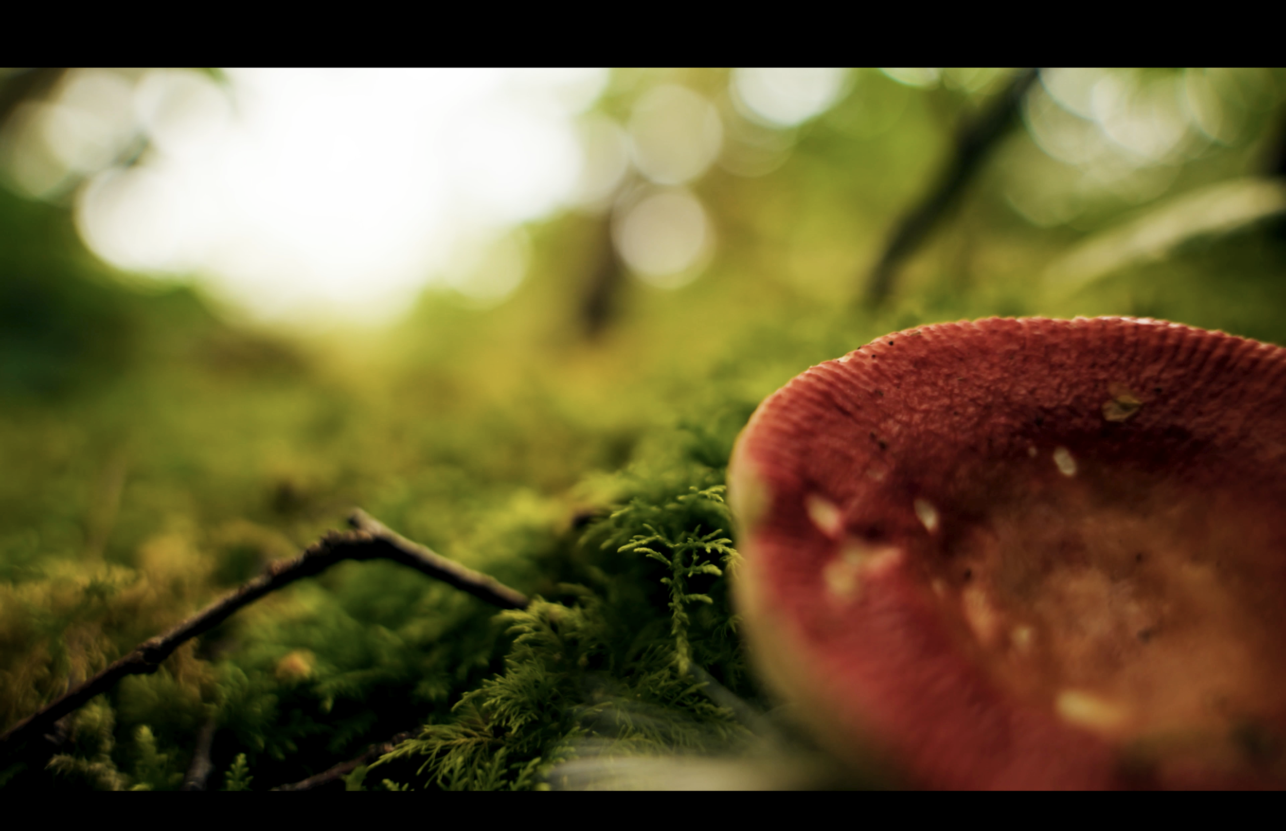 Screenshot 2025-12-05 at 14.02.32.png