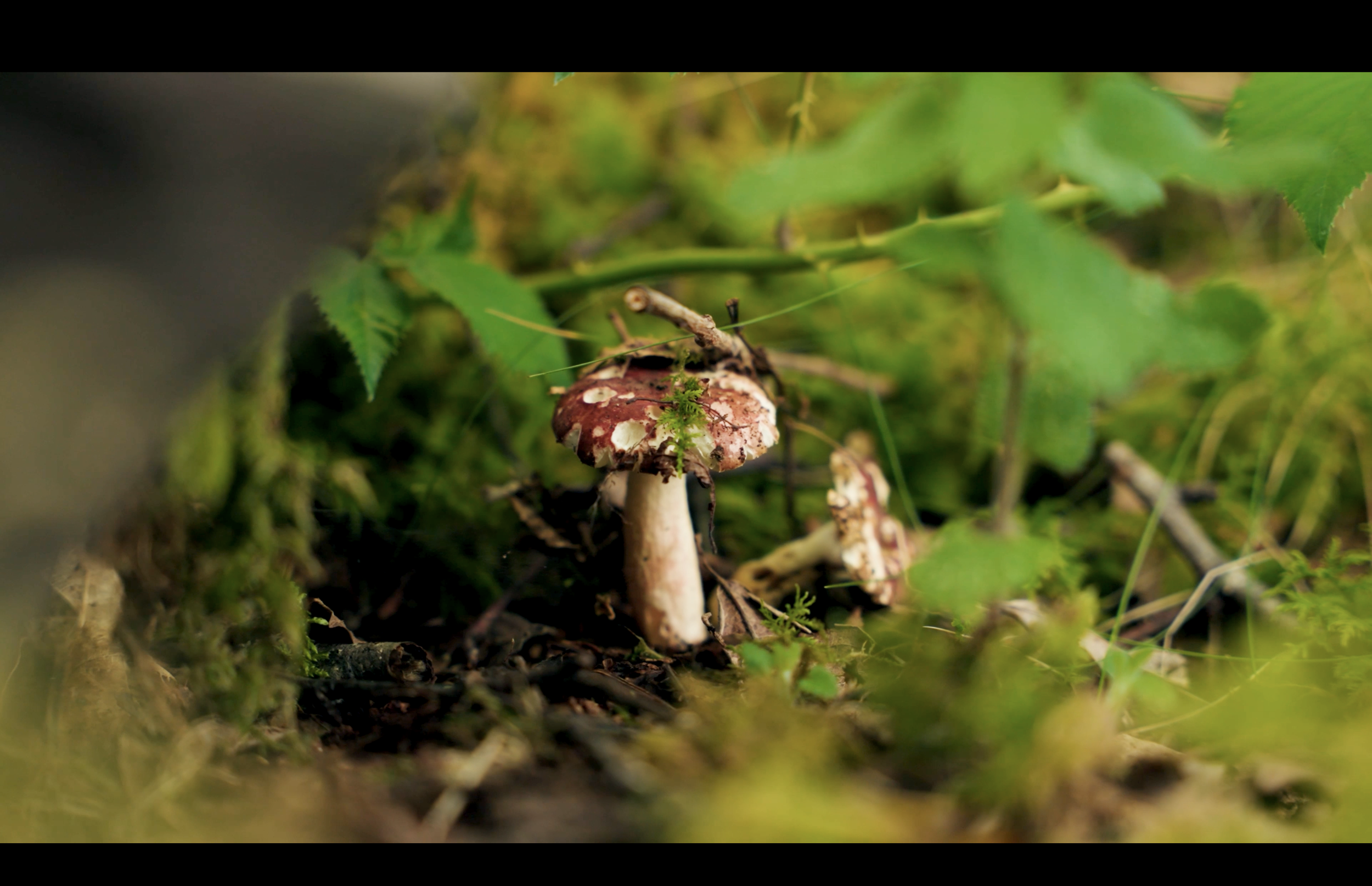 Screenshot 2025-12-05 at 14.02.15.png