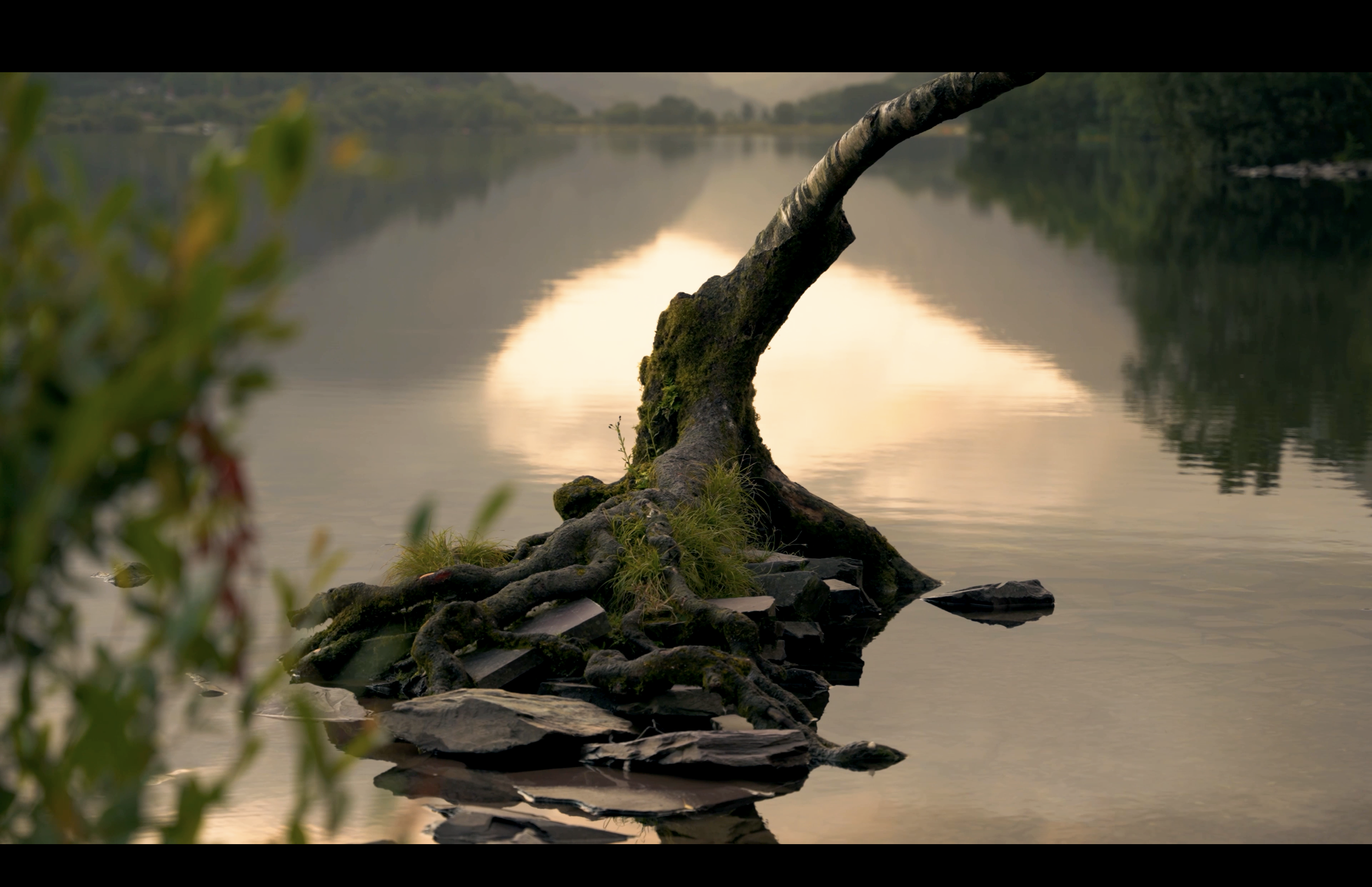 Screenshot 2025-12-05 at 14.01.49.png