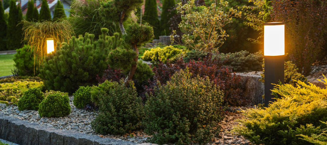 exterior lights in the landscape.png