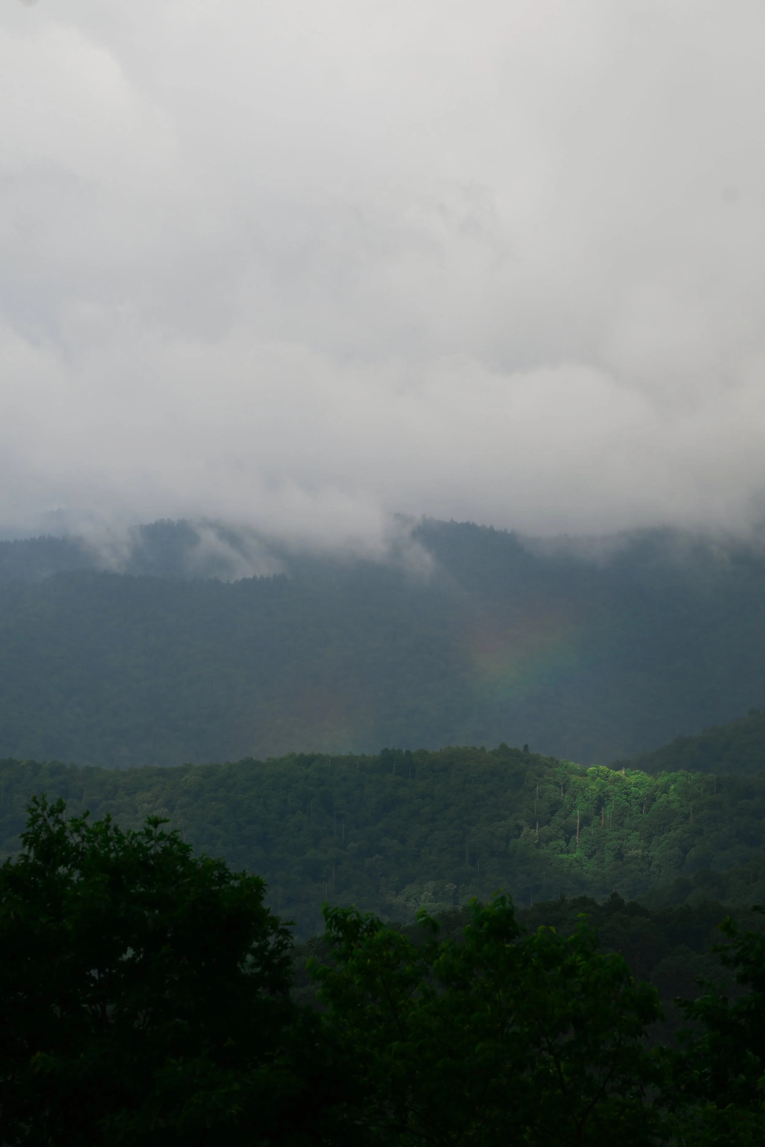 DSC_9661_Original.jpeg