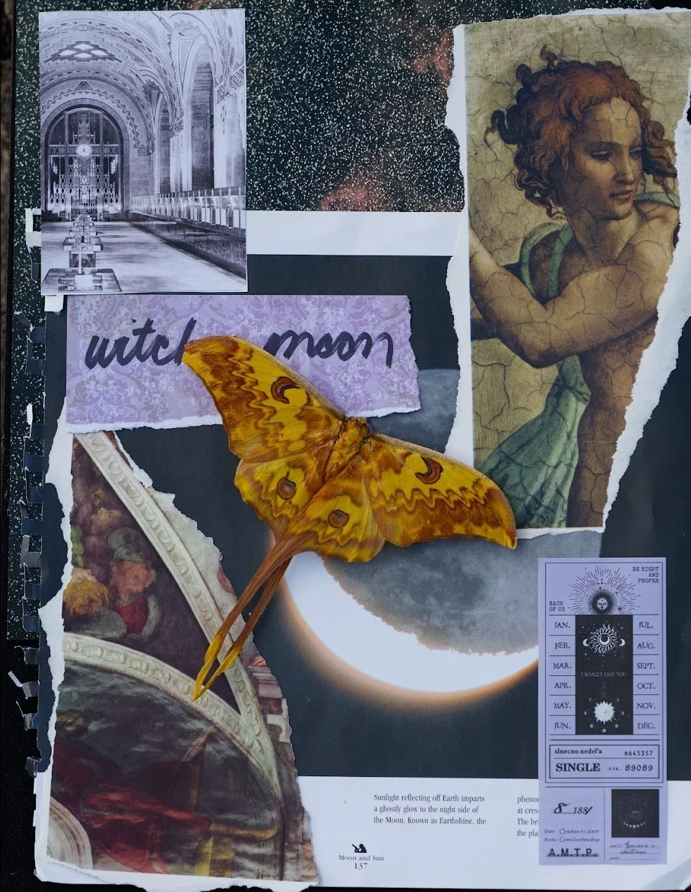 Shadowbox Collages