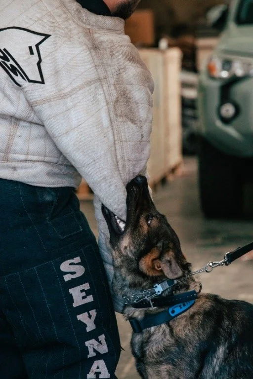 Protection training.