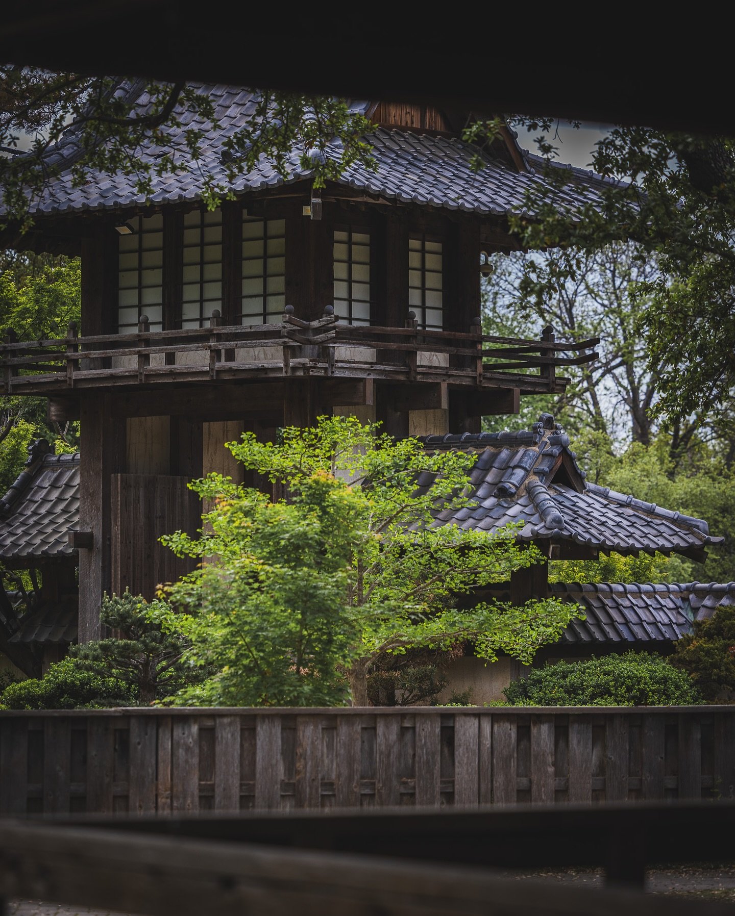 Another old photo from the Japanese garden in Fort Worth. 

#japanesegarden #fortworthbotanicgardens #photography