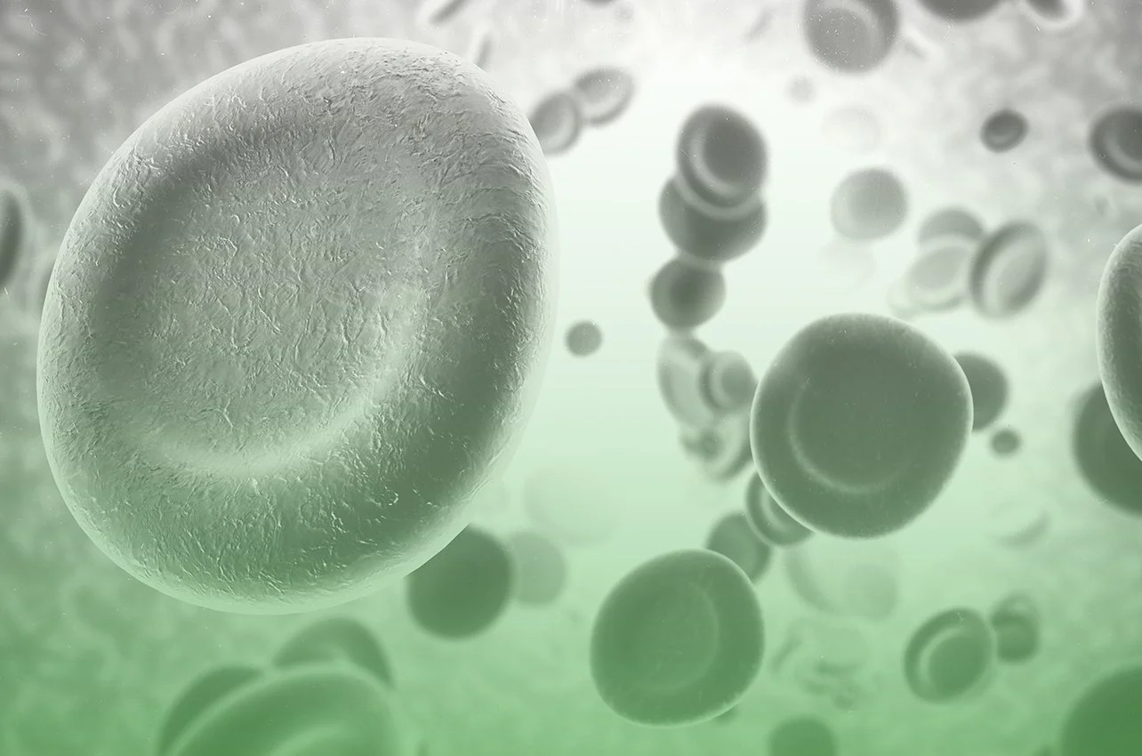 Cholesterol 101: What Really Causes Your Levels to Go Up and Which Myths You Should Stop Believing