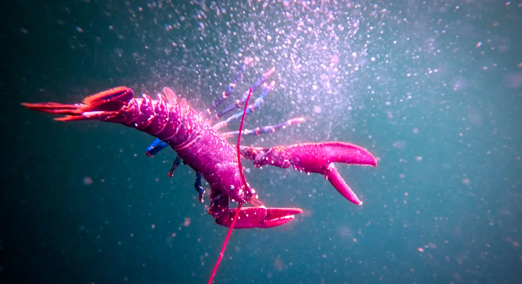 002_ALL RIVERS SPILL... still02.jpg