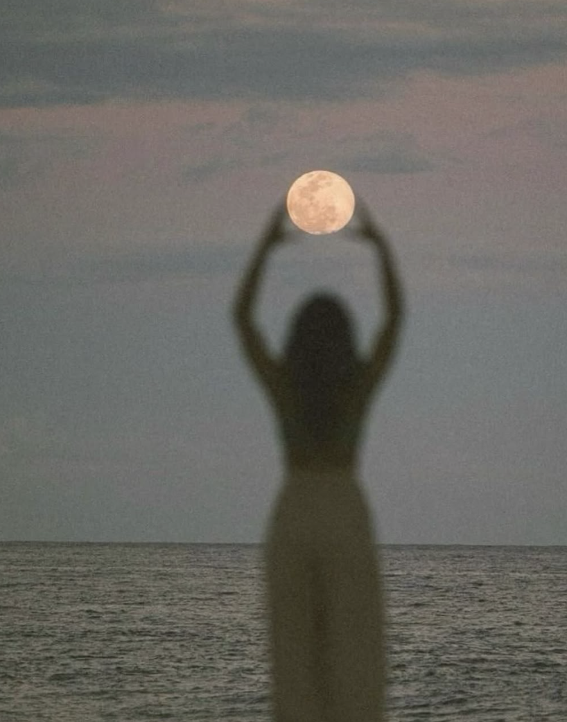 Screen Shot 2025-12-31 at 2.59.55 PM.png