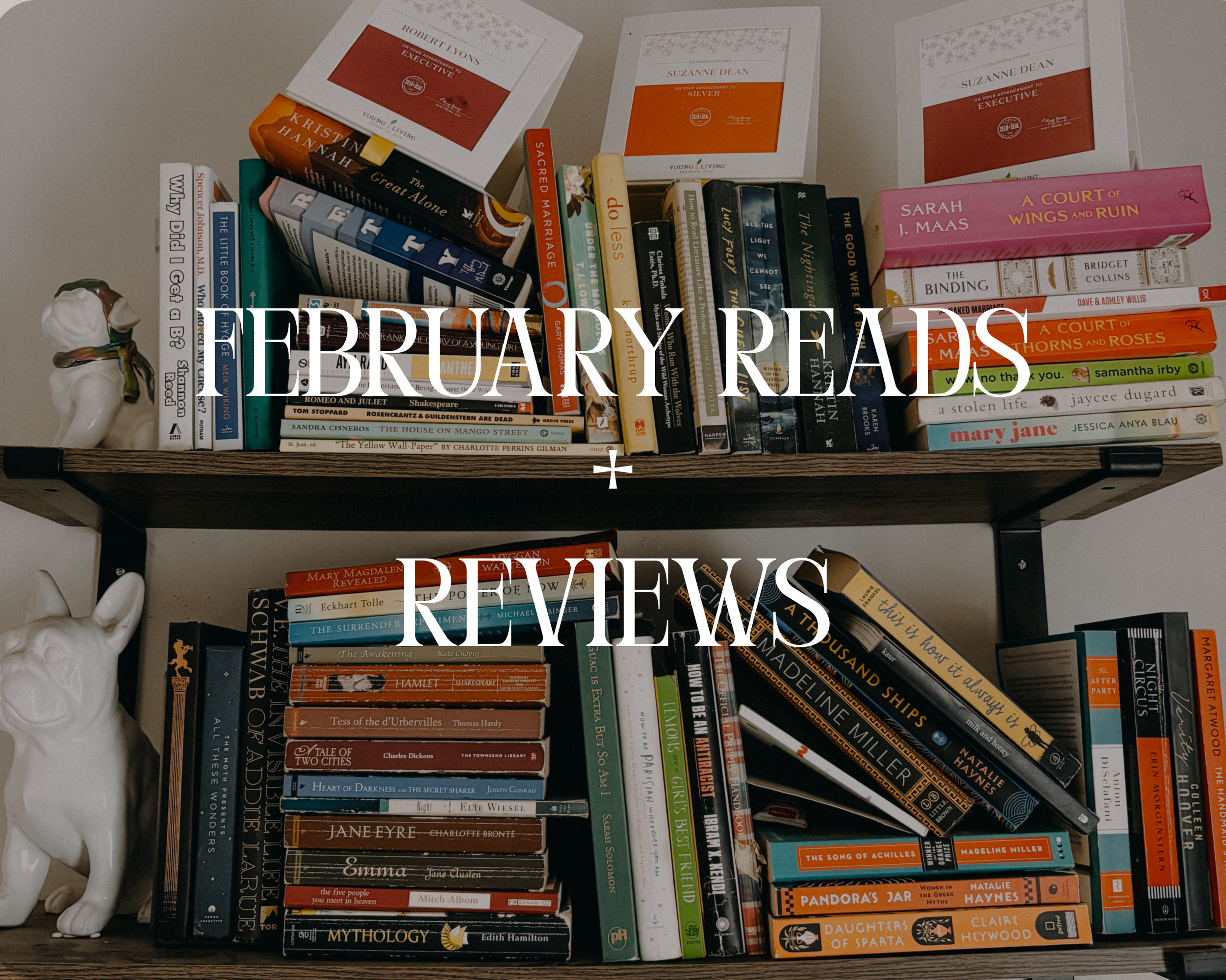 February Reads + Reviews 