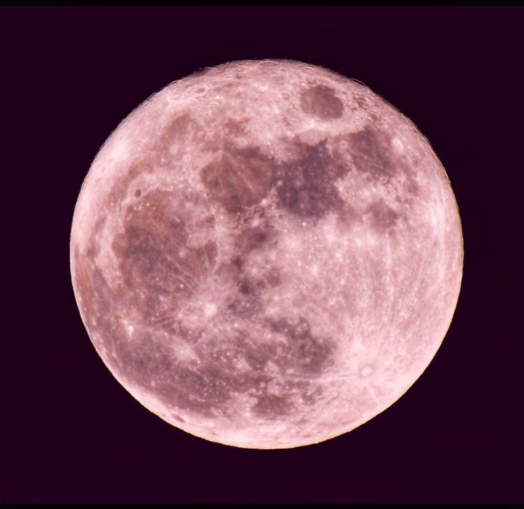 pink moon.jpg