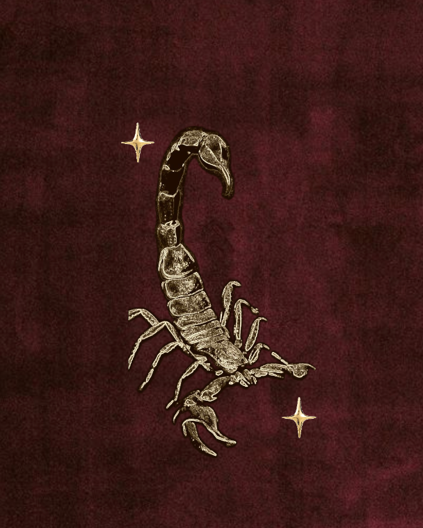 Scorpio Full Moon: Emotional Truth, Release, + Deep Transformation