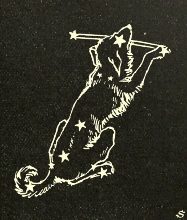 9015999ab8e2afdc461d507097fde0a7.jpg