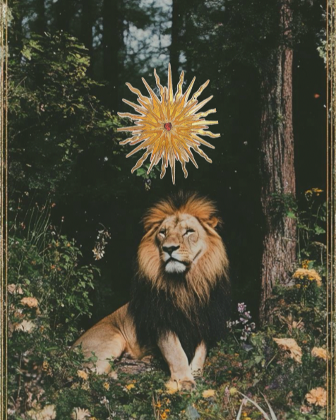 The Leo New Moon Solar Eclipse: Stop Performing, Start Expressing