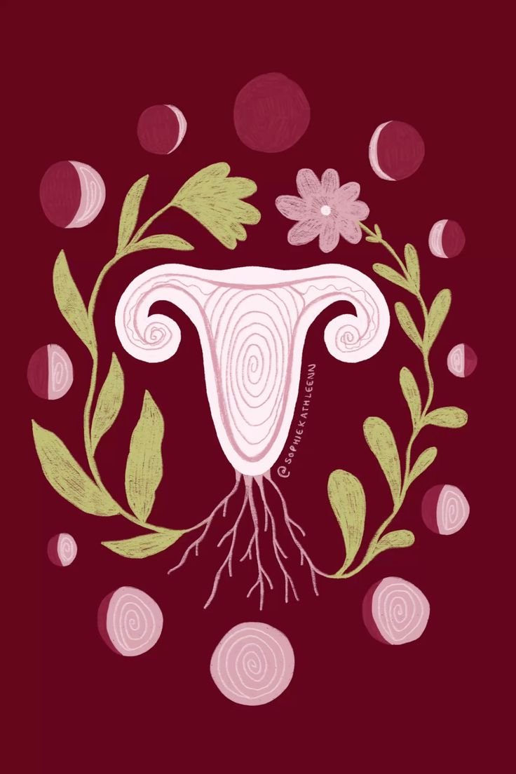 uterus.jpg