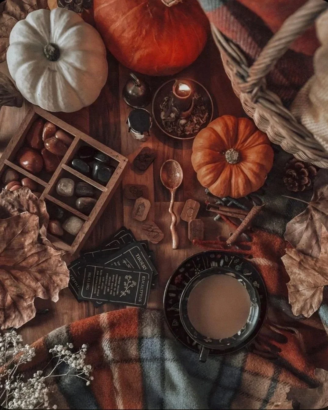 The Autumnal Equinox: A Season of Harvest, Release + Coming Home to Yourself