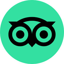 Stylized owl face with glasses on a teal background