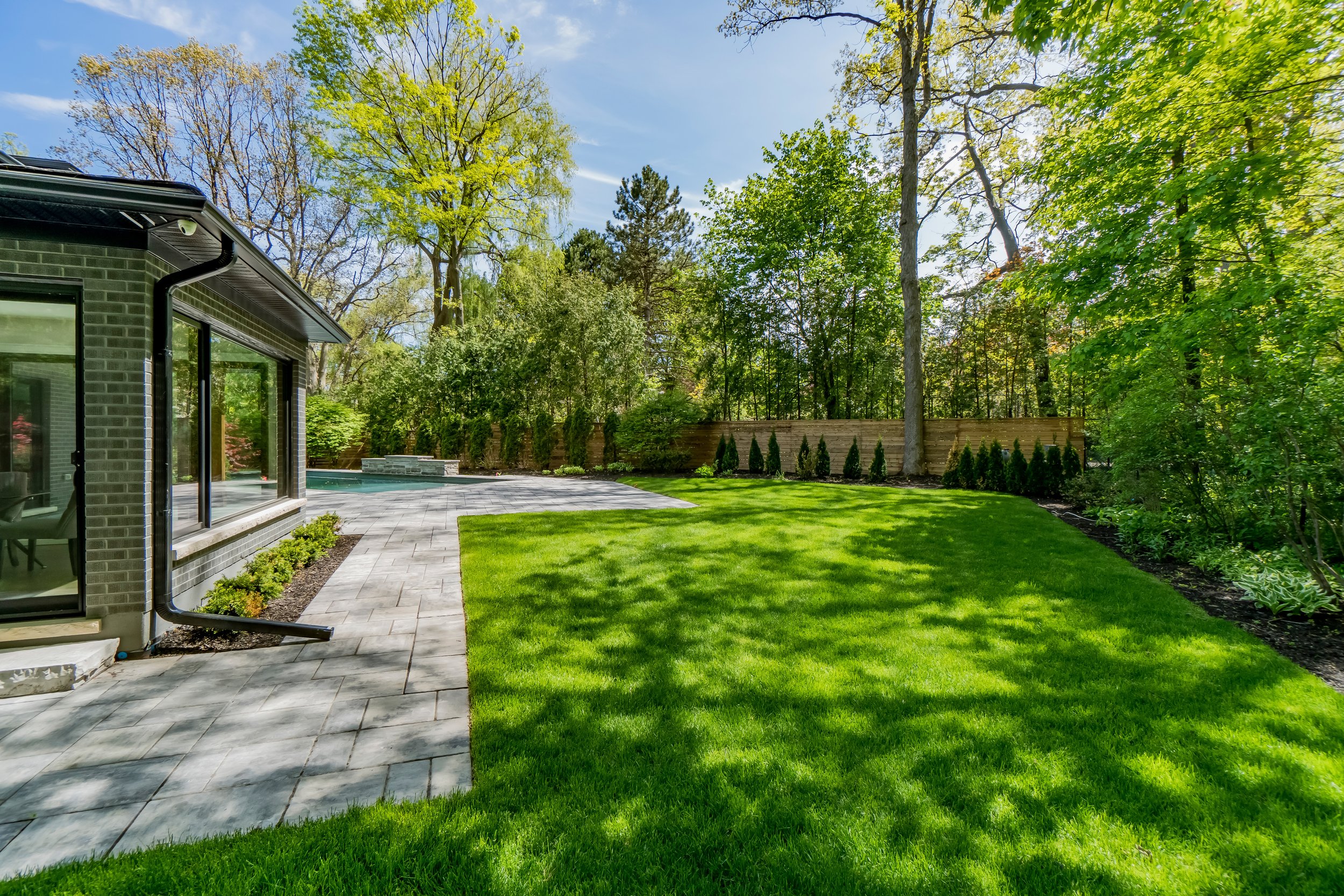 Backyard 2.jpg