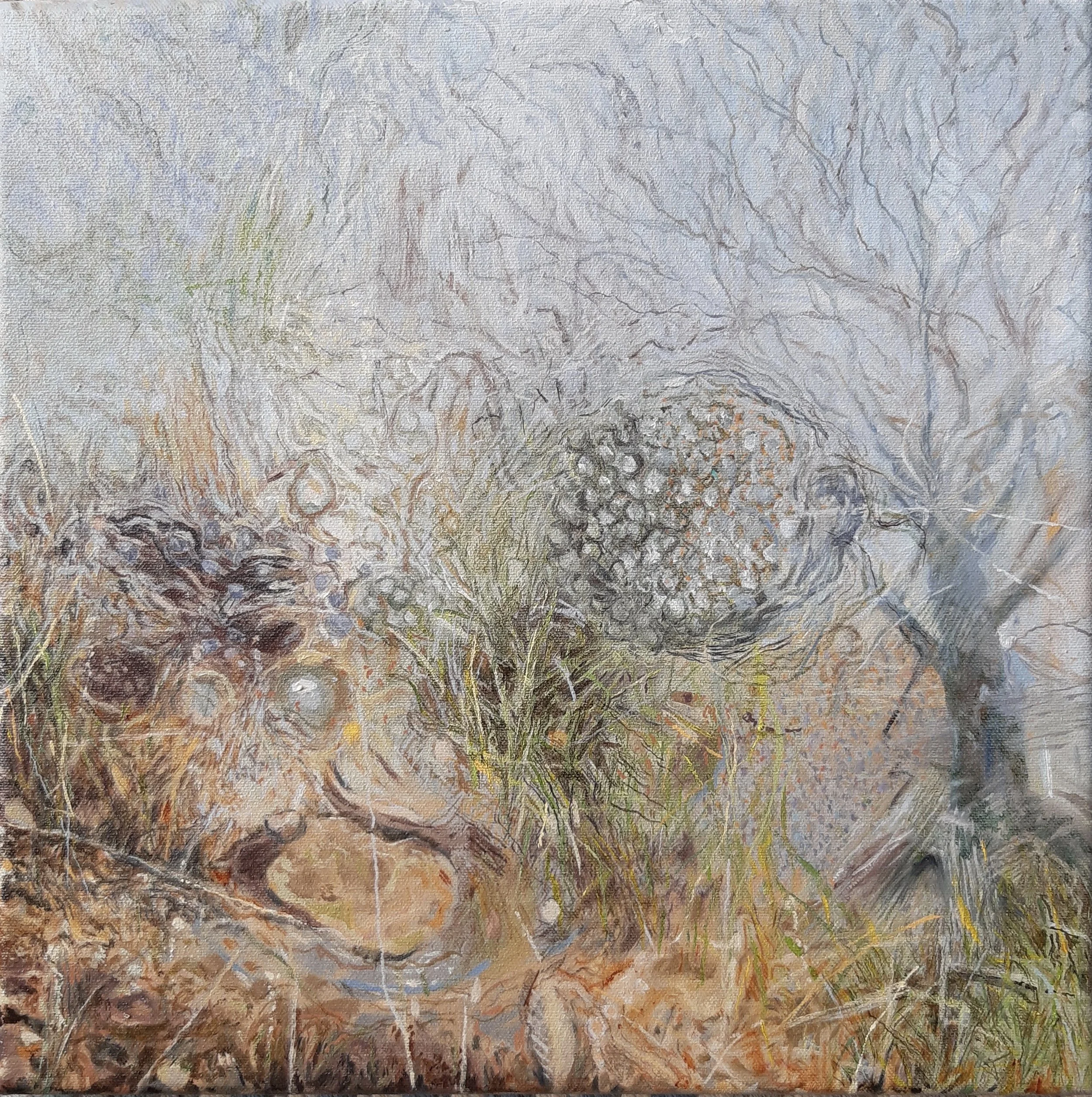 Beginnings  Oil on Board 42 by 42 cm 