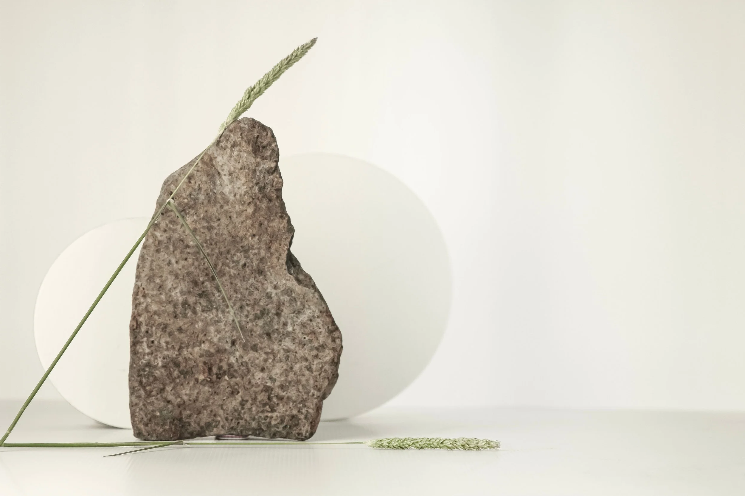 Large textured stone with green grass stems against a warm white background.