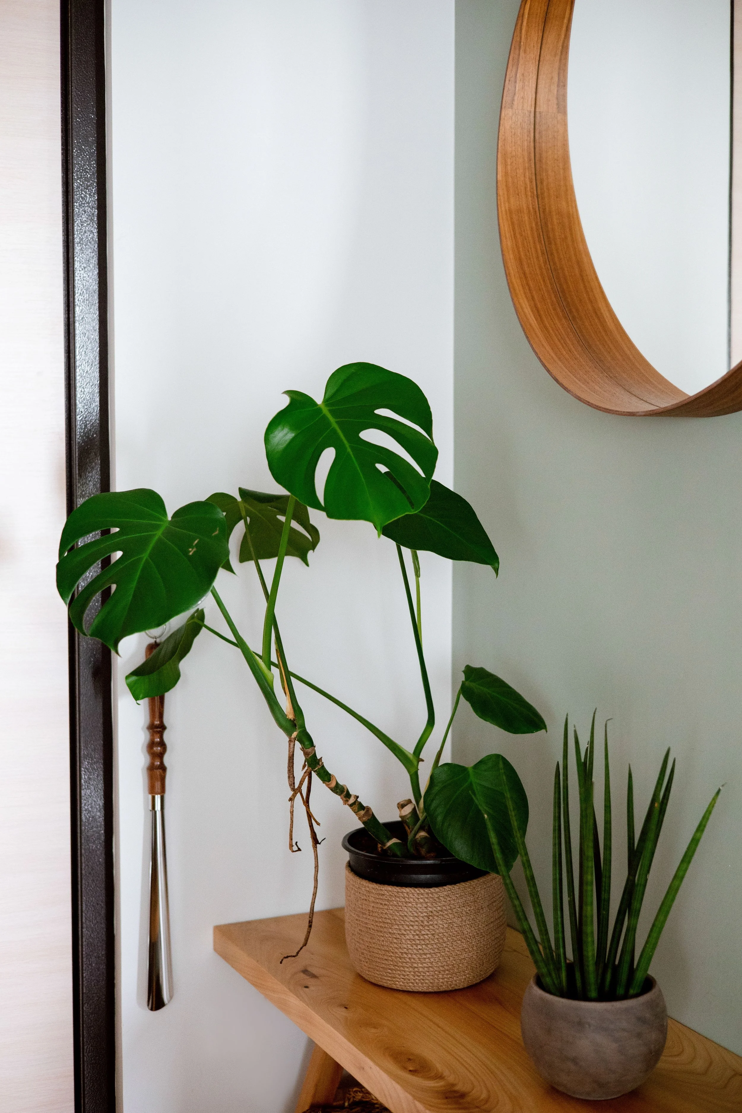 Indoor scene with two potted plants on a wooden table, a large round mirror on the wall, and a golf club leaning against the wall.