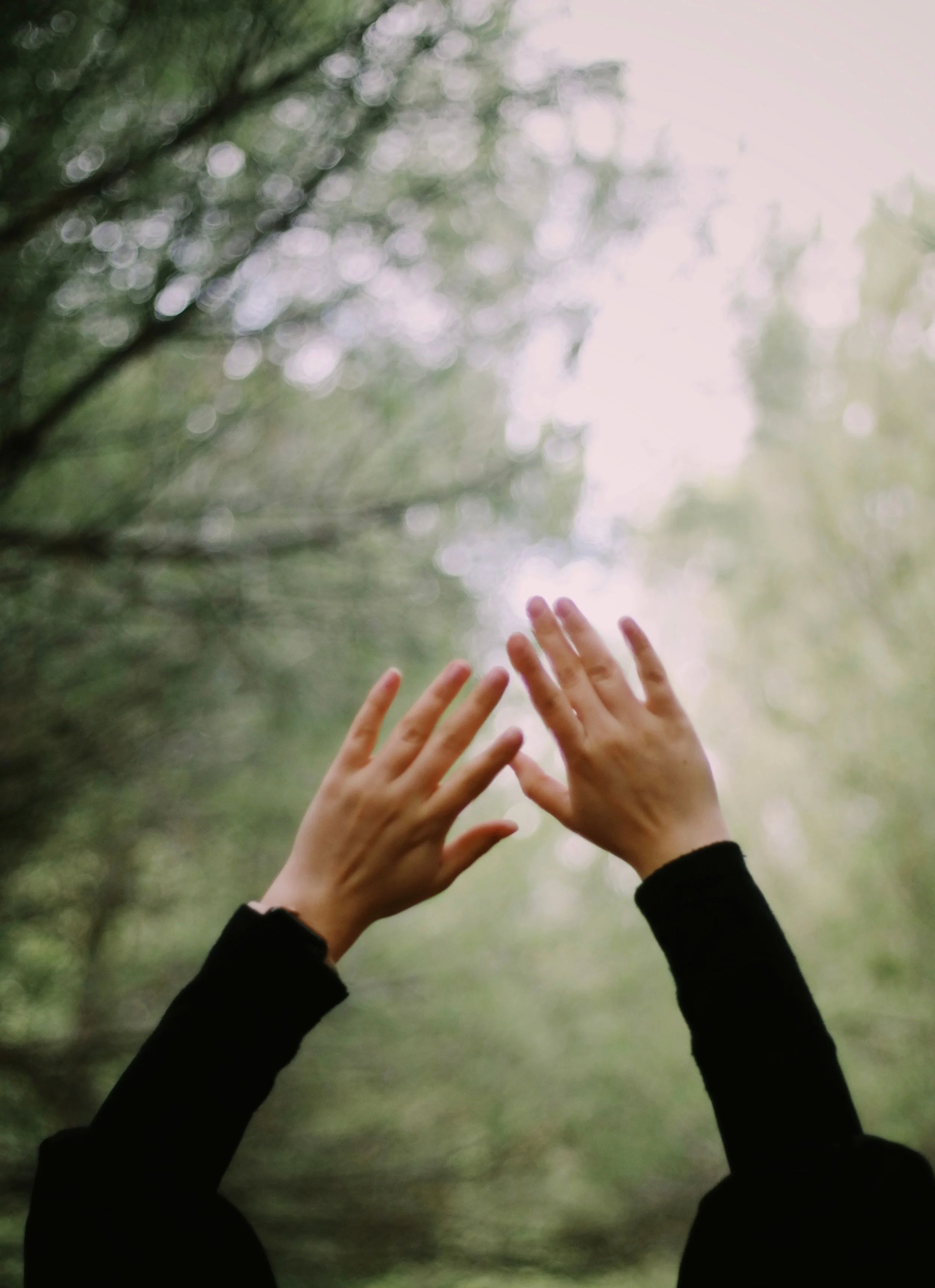 Two hands reaching upwards with fingers spread apart against a bokeh background of trees and sky.