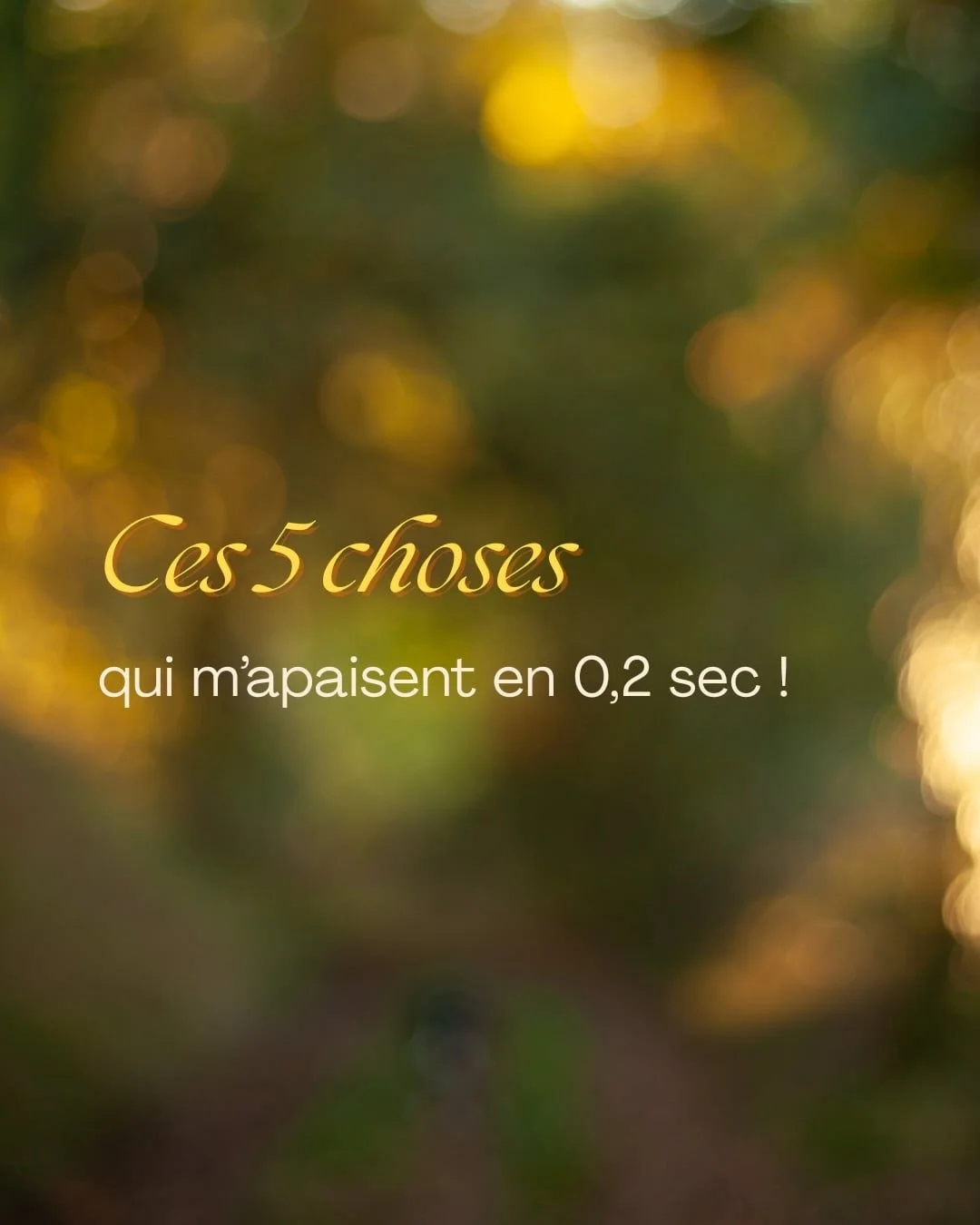 Les essentiels c&rsquo;est pas toujours ce que l&rsquo;on croit.

On a pas besoin de tant d&rsquo;outils et de choses pour parvenir &agrave; trouver de l&rsquo;apaisement dans notre quotidien &agrave; partir du moment o&ugrave; on sait se satisfaire 