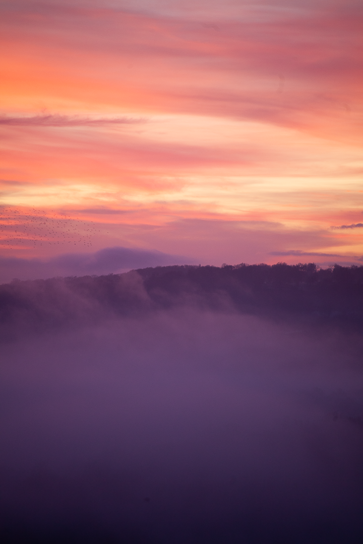 stéphanie francois - latelier selenia - paysage embrumé lotois-5-2.png