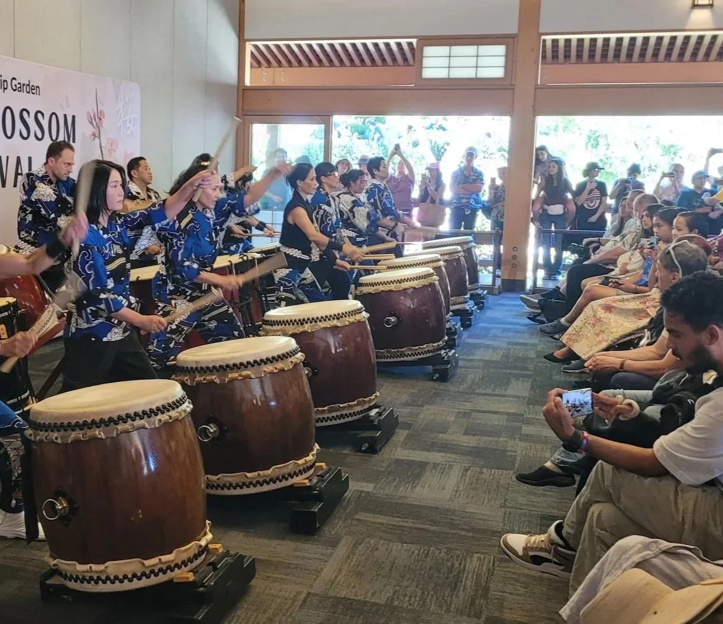 Petals and Power: Returning to the Cherry Blossom Festival