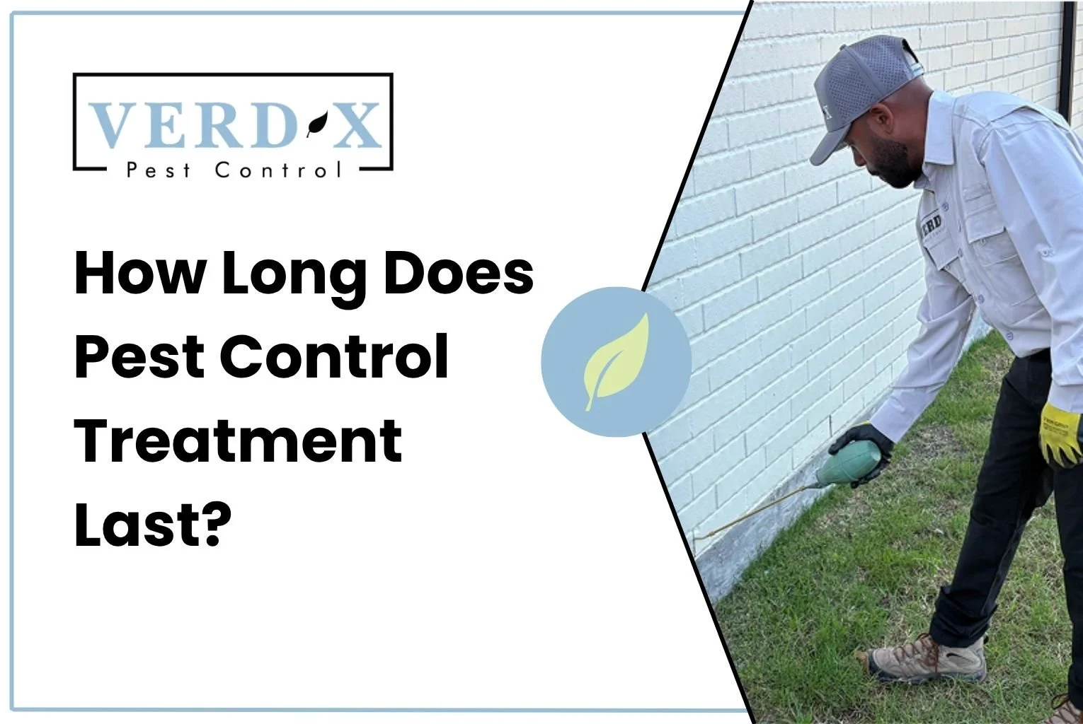 How Long Does Pest Control Treatment Last?